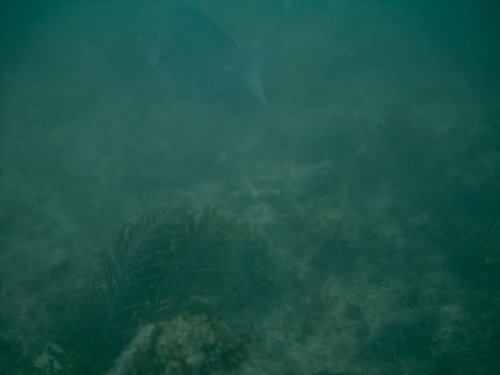 IMAG0014